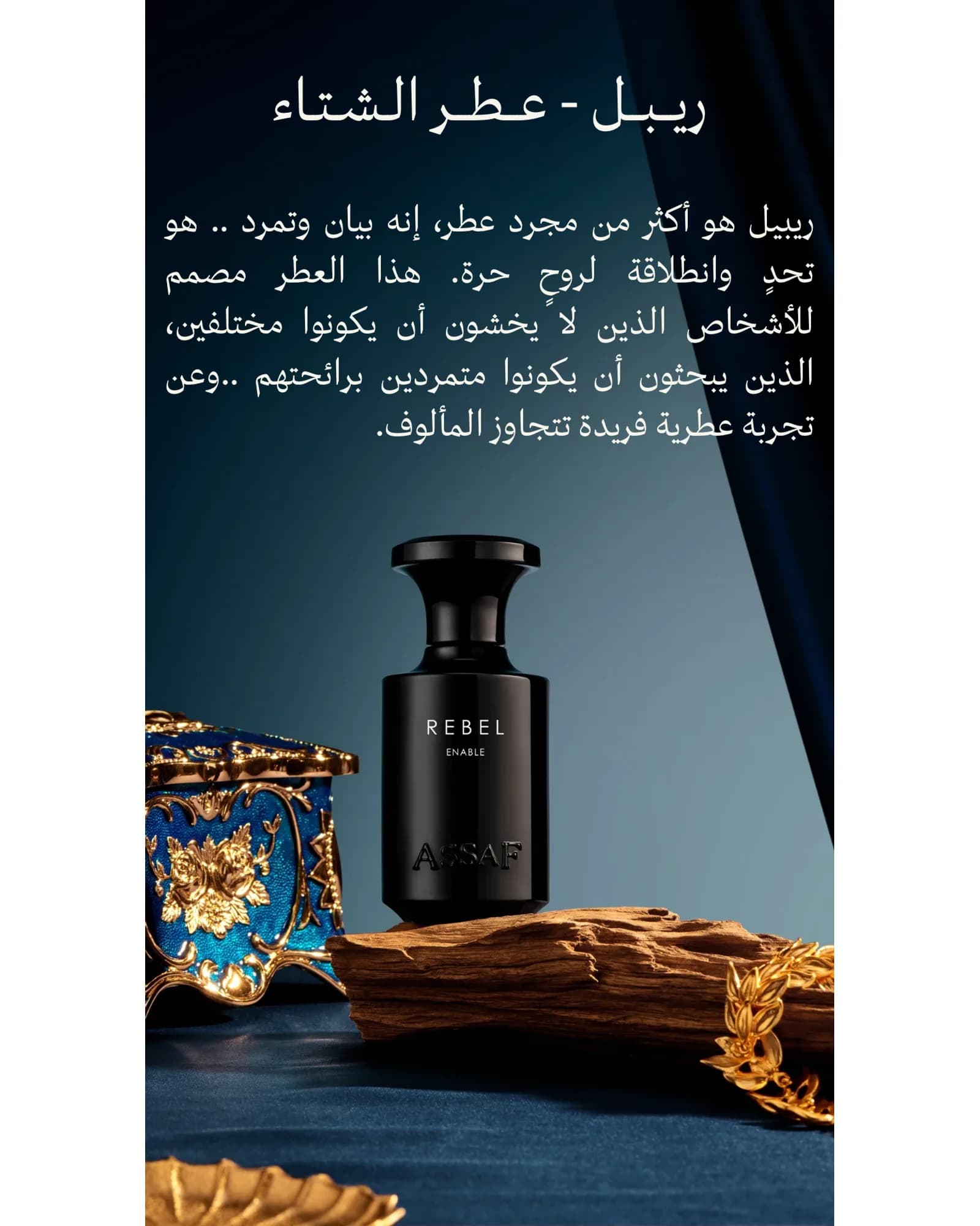 ASSAF REBEL ENABLE 100 ML