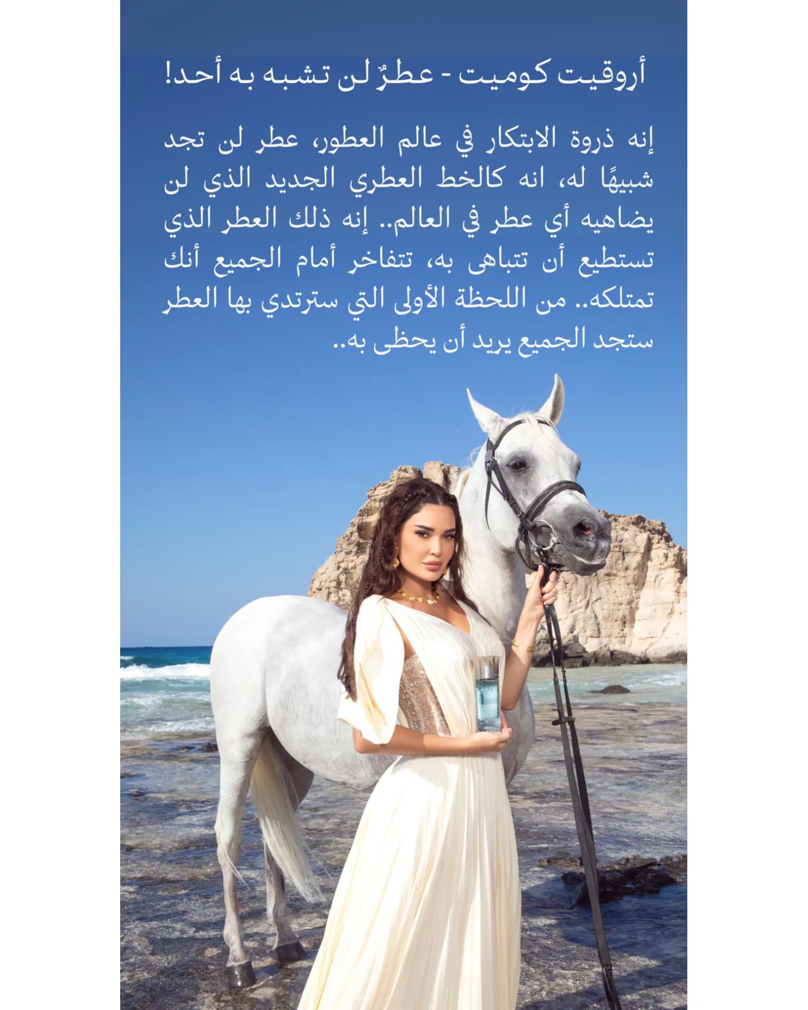 ASSAF ARROGATE COMETE
