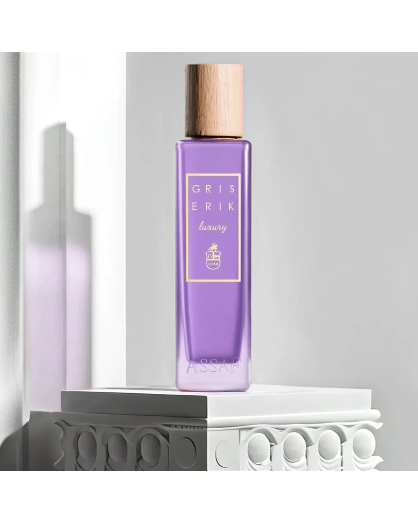 ASSAF GRIS ERIK 200 ML