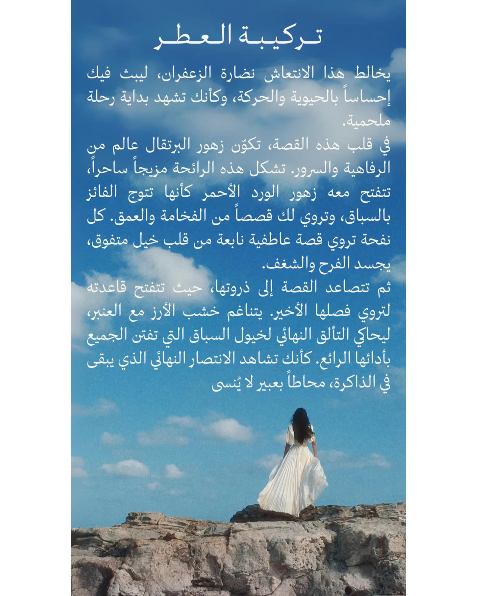 ASSAF ARROGATE COMETE