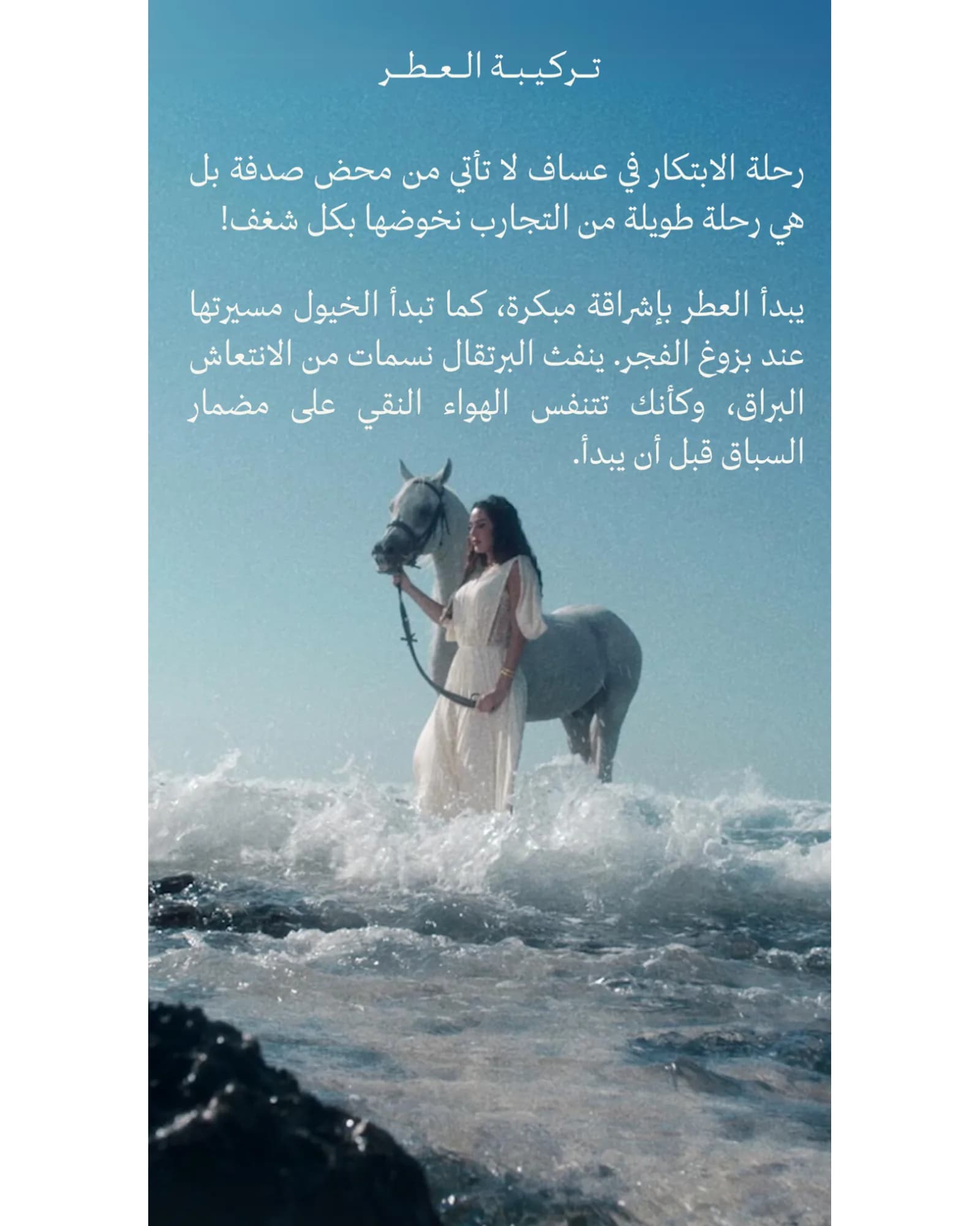 ASSAF ARROGATE COMETE