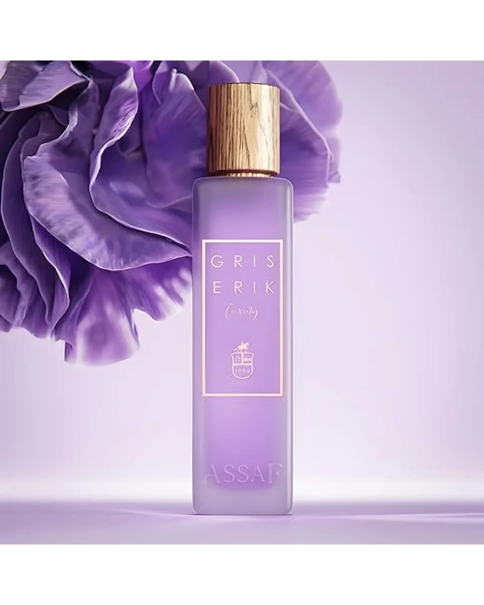 ASSAF GRIS ERIK 200 ML