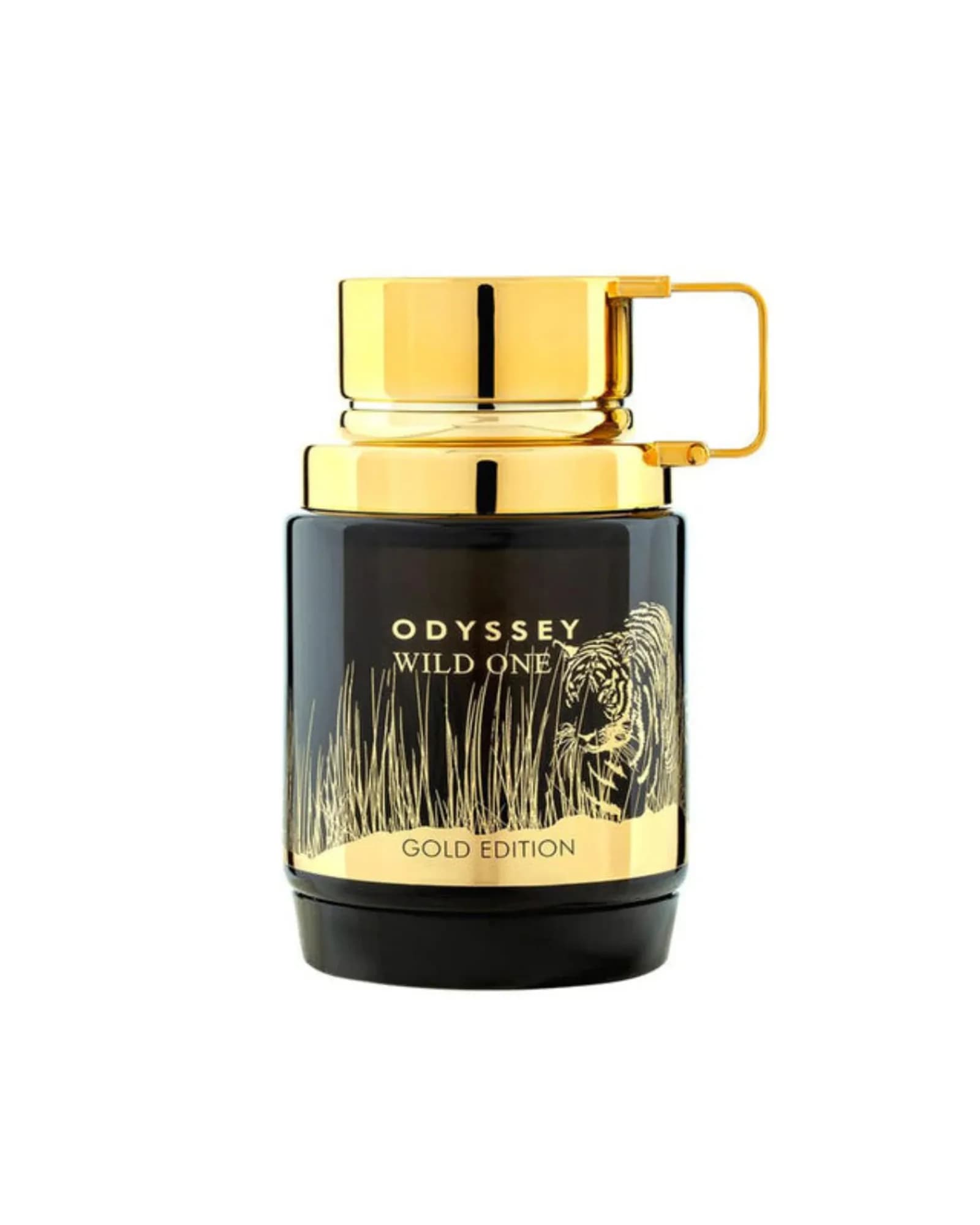 ARMAF ODYSSEY WILD ONE
